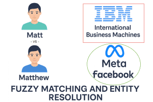 MDP Fuzy Data Matching and Entity Resolution