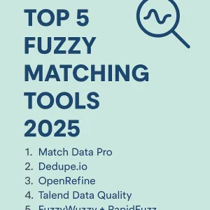 2025 match data pro top fuzzy matching tools