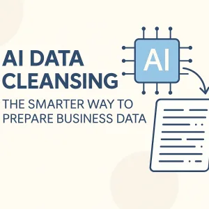 ai data cleansing