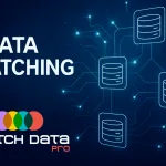 What Is Data Matching? A Simple Guide with Examples